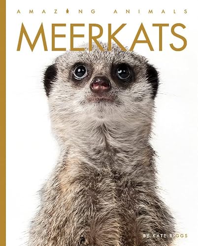 Meerkats